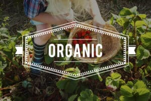 Different natural and sustainable product labels: keto friendly labels