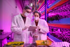 food researchers on a laboratory discussing the importance of a Collaborative Approach to the Understanding and Management of Gluten Sensitivity