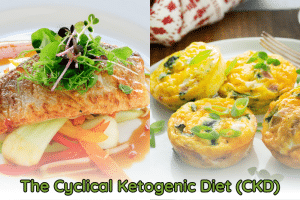a photo of salmon meal and muffins with a word below it: The Cyclical Ketogenic Diet (CKD)