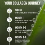 Hunter & Gather Grass Fed Collagen Powder — image 4