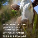 Hunter & Gather Grass Fed Collagen Powder — image 5