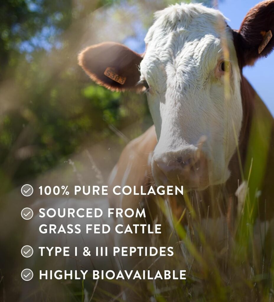 Hunter & Gather Grass Fed Collagen Powder — image 5
